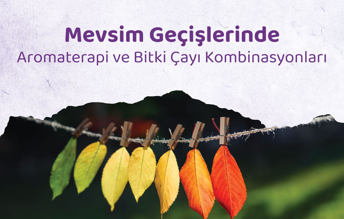 Mevsim Geçişlerinde Aromaterapi ve Bitki Çayı Kombinasyonları