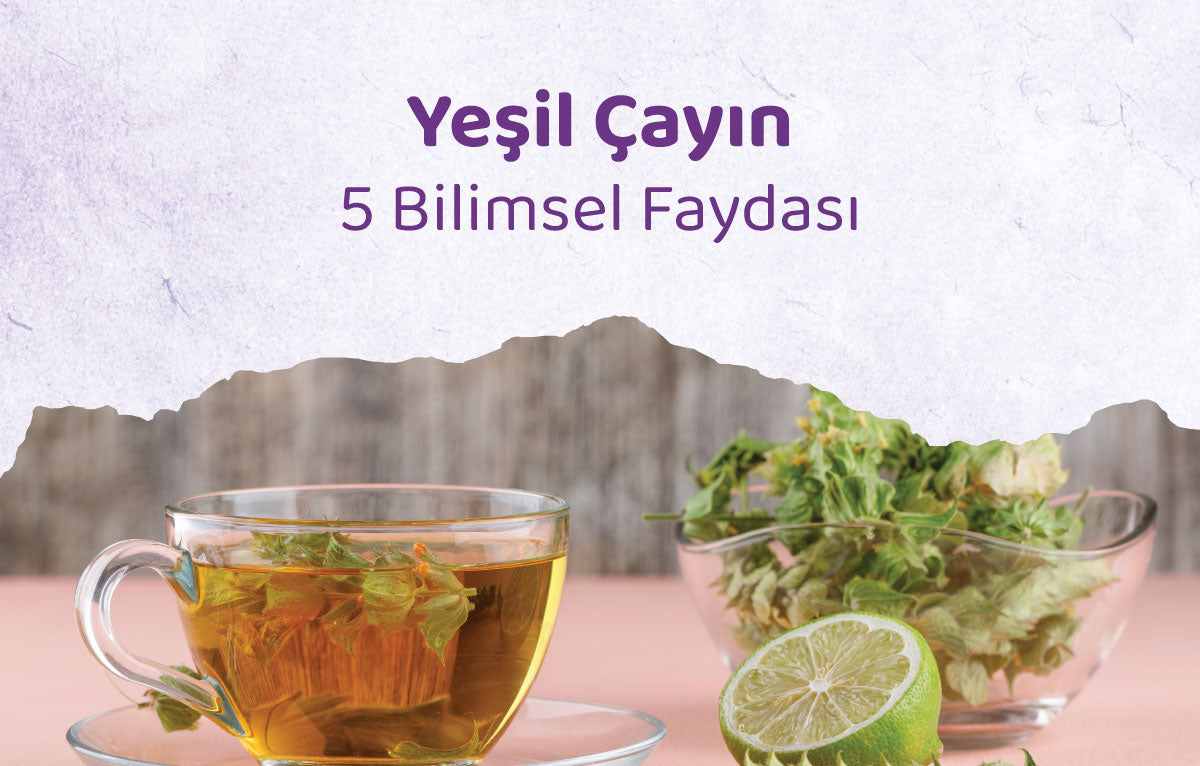 Yeşil Çayın 5 Bilimsel Faydası